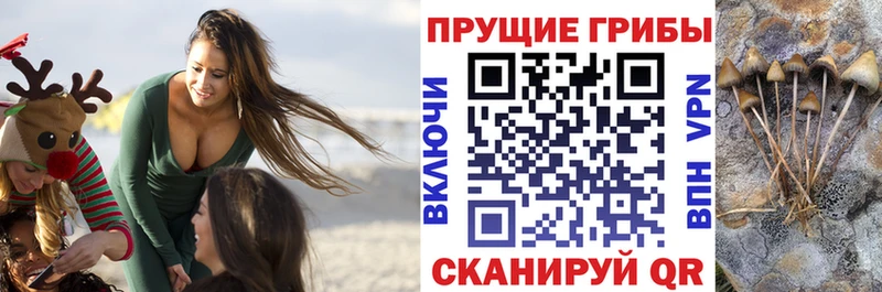 Псилоцибиновые грибы GOLDEN TEACHER  купить наркотик  Калязин 